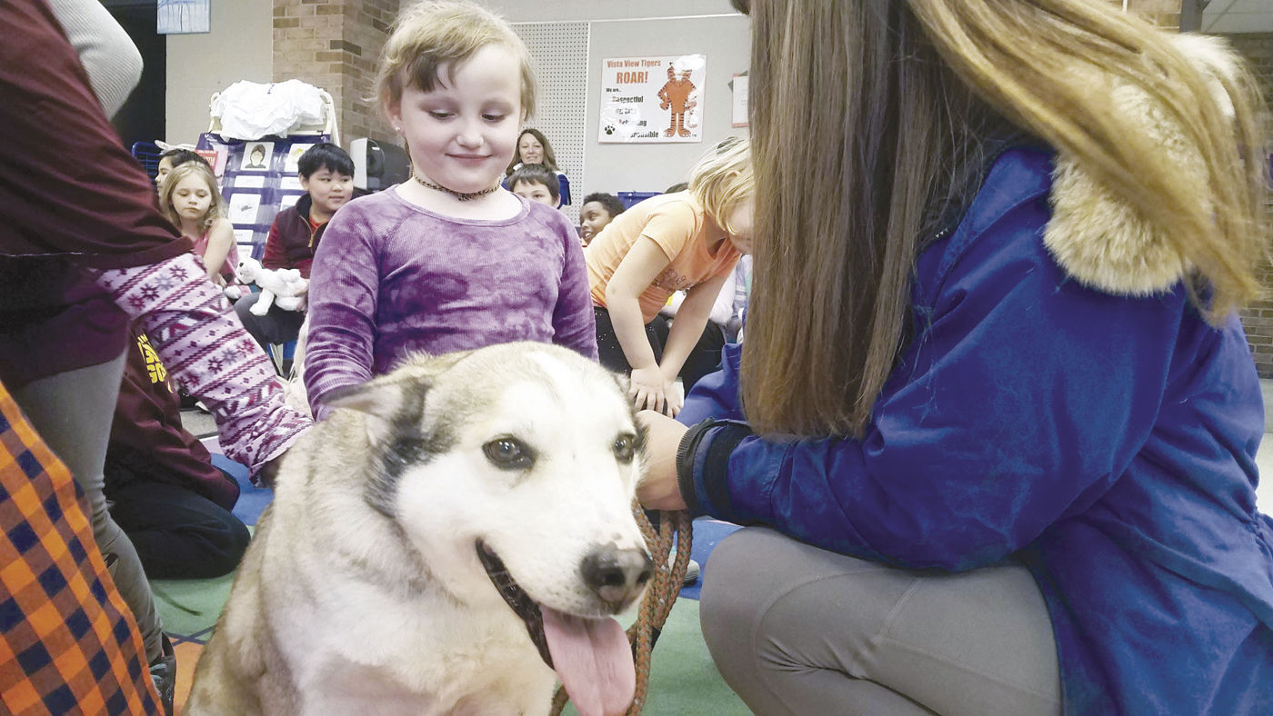 edu 191 sleddog 1